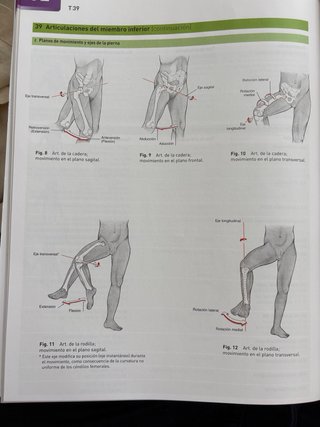 Sobotta. Atlas de Anatomía Humana. Tomo 1 + REGALO