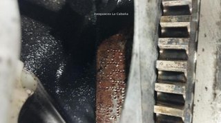 Audi avf motor completo a4 (8e2, 1.9 tdi 21007002