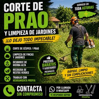 Servicios de Jardinería y Limpieza