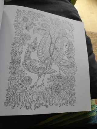 El mundo imaginario libro de colorear para adultos