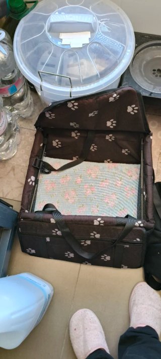Asiento de perros para el coche