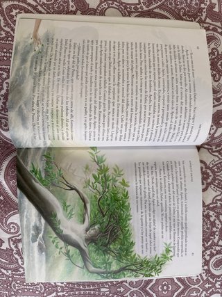 Metamorfosis (clasicos Adaptados)