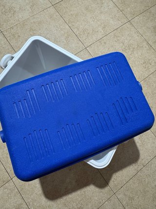 Nevera Portátil Azul Grande 42L