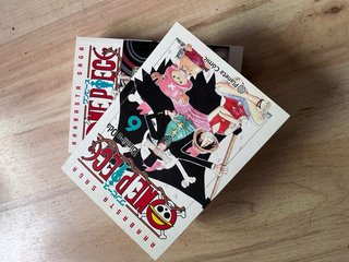 Libros one piece 6,7