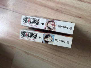 Libros one piece 6,7
