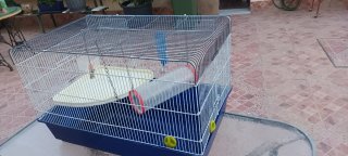 Jaula para cobayas