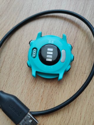 Garmin Forerunner 55 Reloj GPS