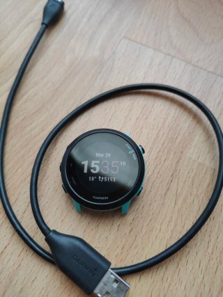 Garmin Forerunner 55 Reloj GPS