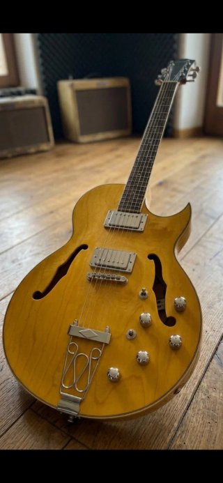 Guitarra Eléctrica Semi-Acústica Butterscotch