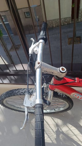 Bicicleta de montaña Monty