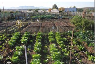 Compro finca llana económica.
