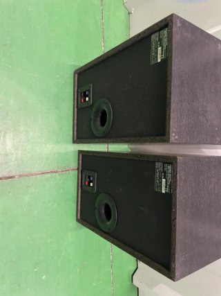 Altavoces Technics Beige y Negro