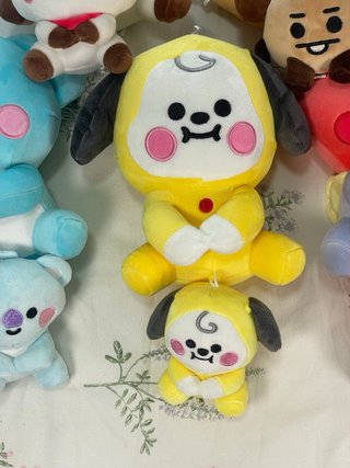 BT21 plush + keyring