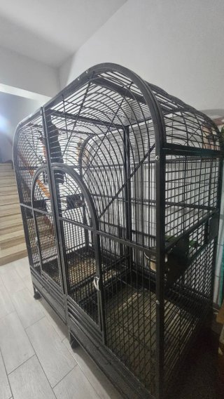 Jaula para loro o guacamayo