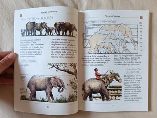 Libro fauna africana / animales de África