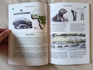 Libro fauna africana / animales de África