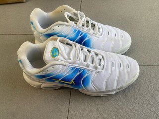 Nike TN Air Max Plus Blancas y Azules