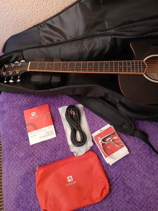 Guitarra Vangoa Negra