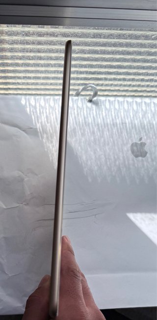 iPad Air 2 Retina Dorado Como Nueva