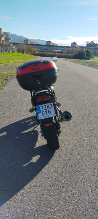 Suzuki Bandit Naked Moto