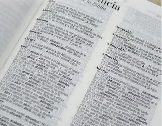 Biblia RVR 1960 Letra Grande Compacta 11 puntos...