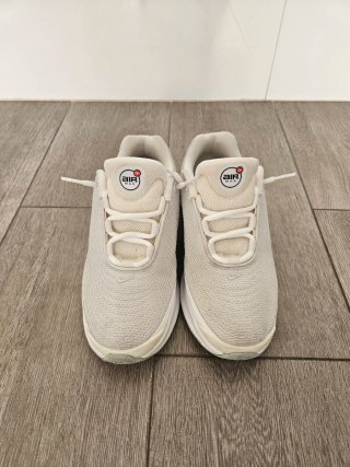 Nike Air Max DN Gris/Blanco