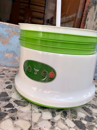 Germinadora de semillas verde