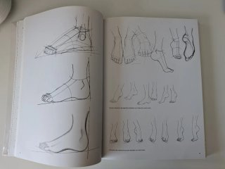 Dibujo de Figurines para el Diseño de Moda