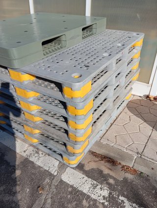 Palets de plástico