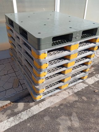 Palets de plástico