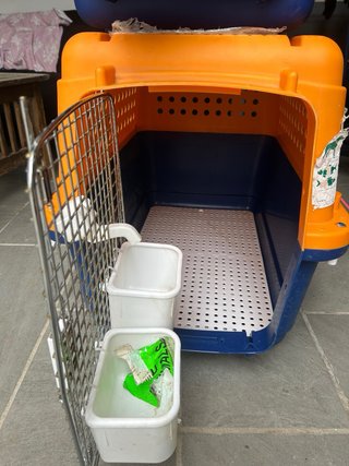 Transportines perros grandes y gato nuevos sin uso