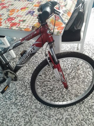 Bicicleta 29 RUNFIT