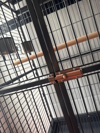 Jaula grande para Loro/Guacamayo SIN ESTRENAR