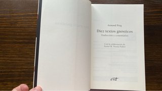 Diez textos gnósticos: Traducción y comentarios