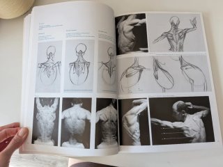 Fashion Drawing Course From Human Figure to Fashio