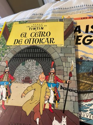 Tintín en el Congo (cartoné) (Las Aventuras de ...