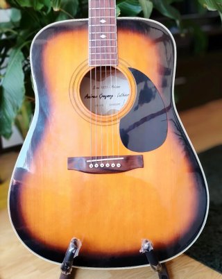 Guitarra Acústica Andrew Gregory