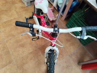 Bicicleta infantil Qüer