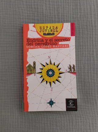 Lote 10 libros JUVENILES