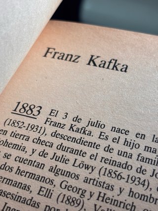 El proceso de Frank Kafka ( Novelas Inmortales)