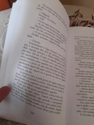 Unha estrela no vento (Infantil E Xuvenil) (Gal...