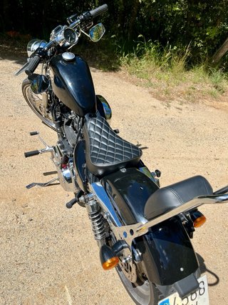 Harley-Davidson Sportster 1200 SCREAMIN EAGLE