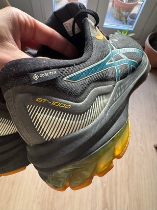 ASICS GT-1000 Gore-Tex GTX T45 running trail