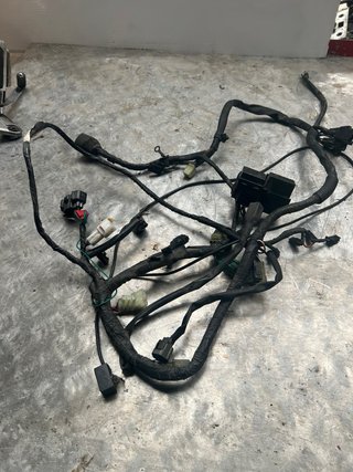 Cableado Suzuki GSF 650 Bandit 2006