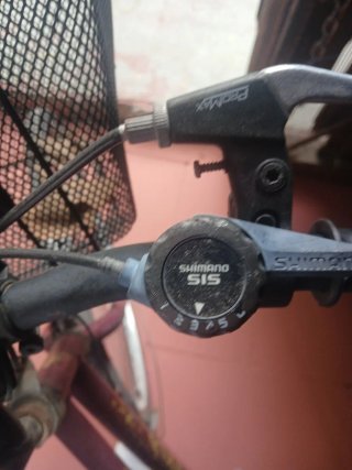 Bicicleta urbana con cesta