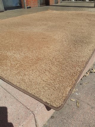 Alfombra grande beige 298x198 cm