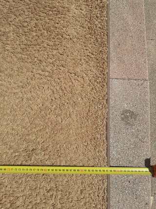 Alfombra grande beige 298x198 cm
