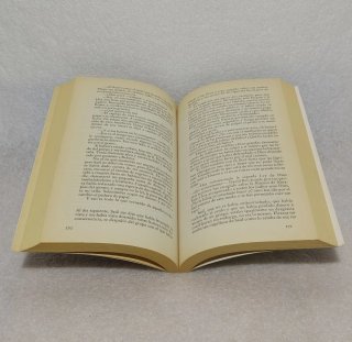 Los manuscritos de Magdala