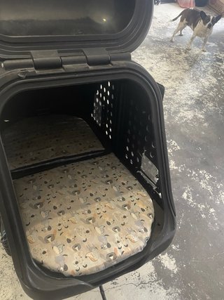 TowBox 2 para perros