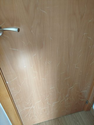 3 Puertas Madera Maciza Haya